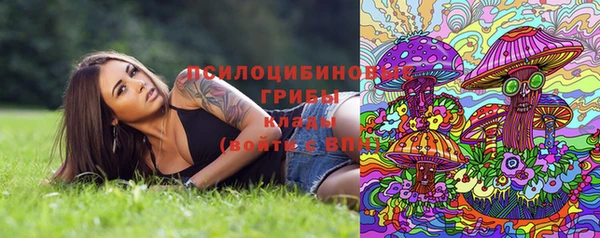 молекула духа Балахна
