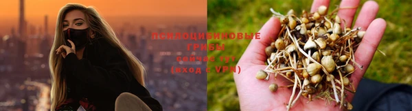 стаф Армянск