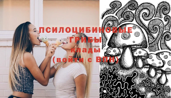 молекула духа Балахна