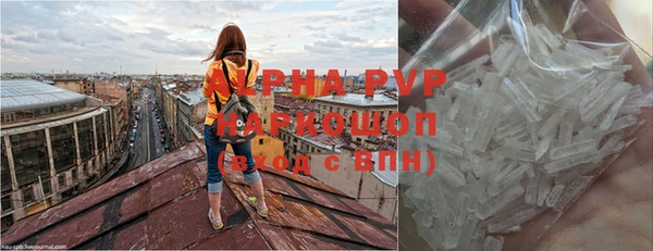 молекула духа Балахна