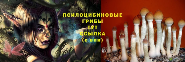 молекула духа Балахна