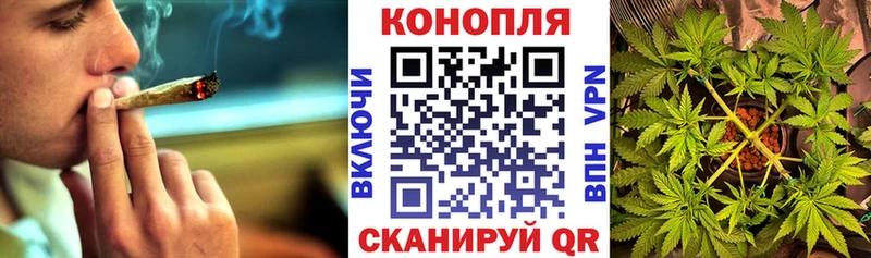 Шишки марихуана семена  Плёс 